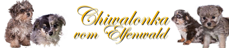 Chiwalonka Banner